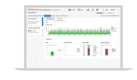 Oracle Enterprise Manager Cloud Control Base Platform Monthly Release Update (RU) 24 13.5.0.24 (2024) торрент скачать