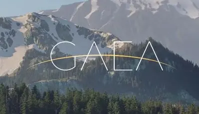 QuadSpinner Gaea Enterprise 1.2.1.2 (2020) торрент скачать