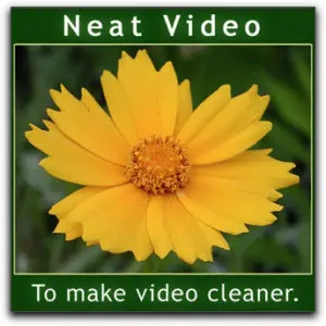 Neat Video plugin for VirtualDub 5.5.8 (2023) торрент скачать