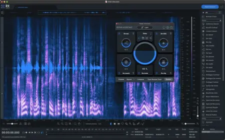 iZotope - RX 11 Audio Editor Advanced 11.2.0.4231 (2024) торрент скачать