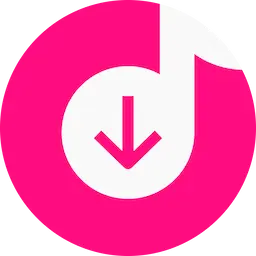 4K Tokkit Pro 1.1.1  macOS (2022) торрент скачать