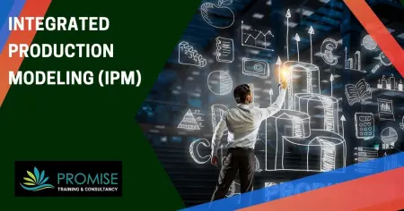 Integrated Production Modelling (IPM) 11.0 Build 102 (2018) торрент скачать