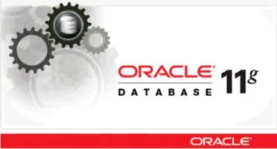 Oracle Database Combo of OJVM Component DB PSU + GI PSU 11.2. Linux 11.2.0.4.201020 (2020) торрент скачать