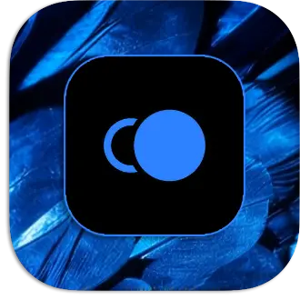 Topaz Photo Pro 1.4.1 (2026) торрент скачать